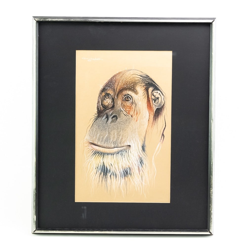 Pastel and Charcoal Drawing Orangutan - Anghelo: Pastel and charcoal drawing. Orangutan - Anghelo21” W X 25” T
