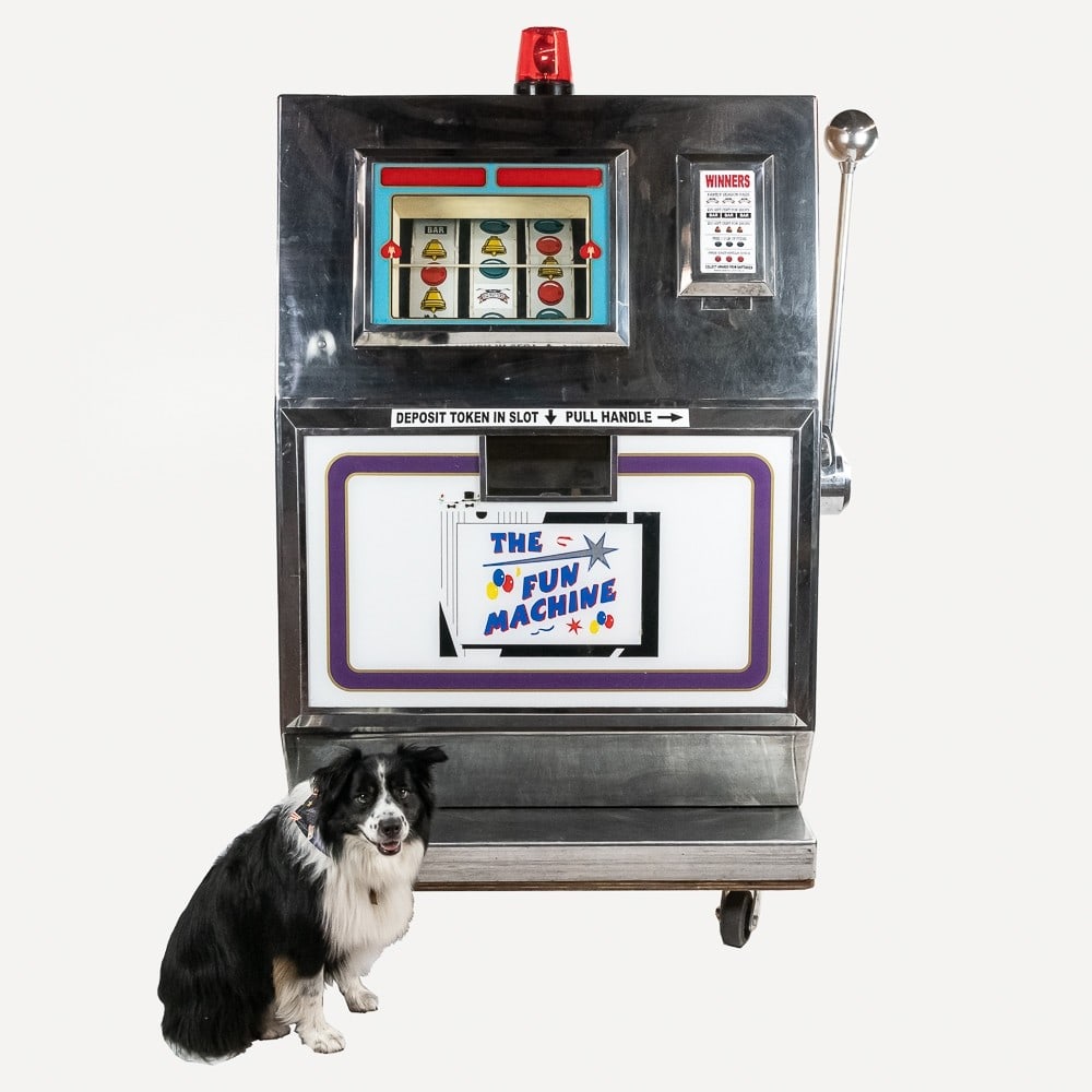 Huge Promotional Slot Machine (1 of 14)