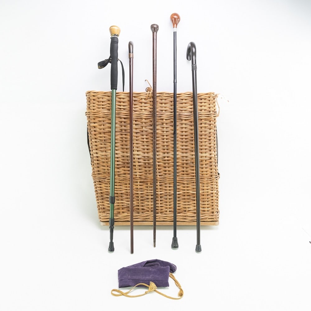 Collection of (5) Assorted Canes (1 of 12)