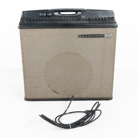 Magnatone Custom M12 Amplifier
