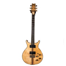 Washburn Eagle Special Edition Electric Guitar