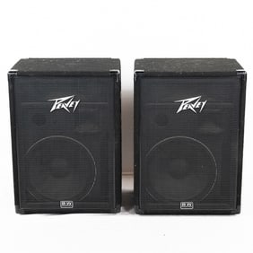 1980s Peavey 115 Series Speakers w/Horn