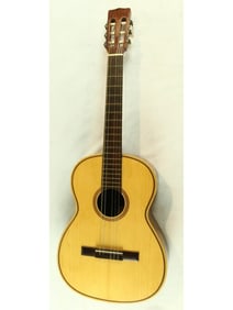6-String Acoustic Guitar w/Case