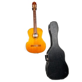 Dorado Acoustic Guitar