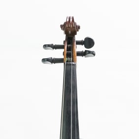 Older Student Violin