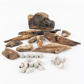 Civil War Dropped, Fired and Battlefield Relics