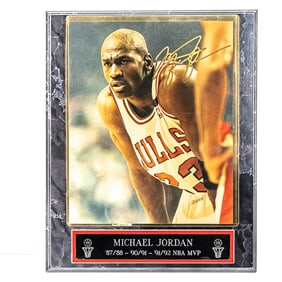 Michael Jordan Autographed 92 Finals Schuth Photo