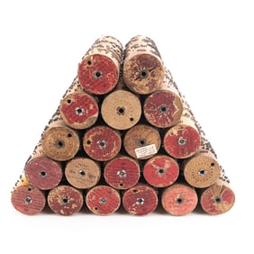 20 Roller Organ Cobbs