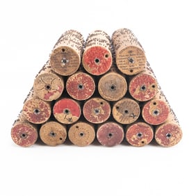 18 Roller Organ Cobbs