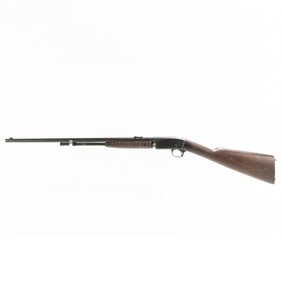 Remington 12 22lr TD Rifle (C) 131057