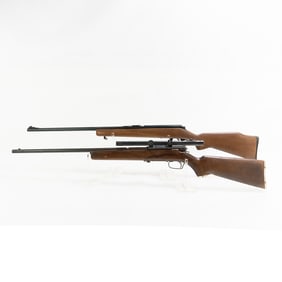 2x .22lr Rifles 21657765 / nsn