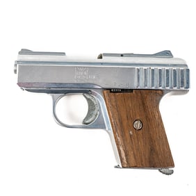 Raven P-25 .25acp Pistol   217987