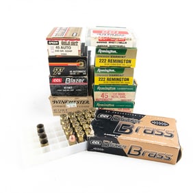Lot of Various Ammunition