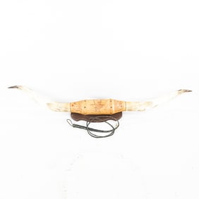 74" Longhorn Bull Mount Display with Bullwhip