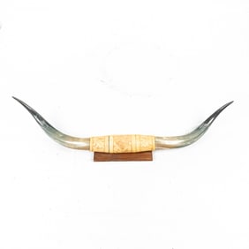 50" Mounted Bullhorn Display
