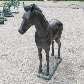 Near Life Size Bronze Statue Standing Foal
