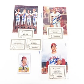 Perez Bench Morgan Rose AUTO & Rose Auto Photo +