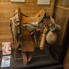 McClellan Saddle And Attachments