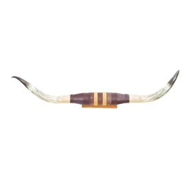 Texas Longhorn Steer Horns Mount