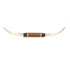 Mounted Genuine Longhorn Steer Horns