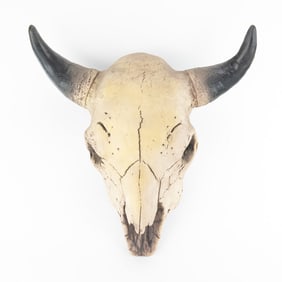 Foam Buffalo Skull Display Piece