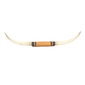 Texas Longhorn Steer Horns Mount