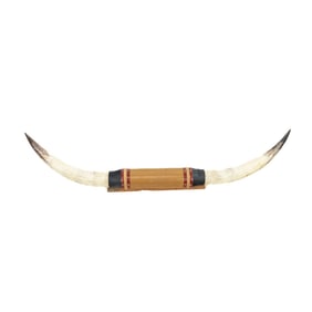 Texas Longhorn Steer Horns