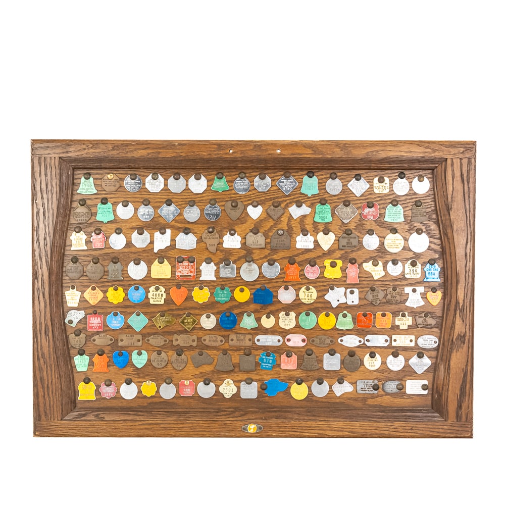 Vintage "Dog" Tag Display (1 of 8)