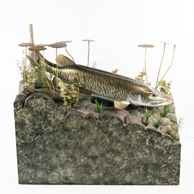 Trophy Size Mounted Muskie in Habitat