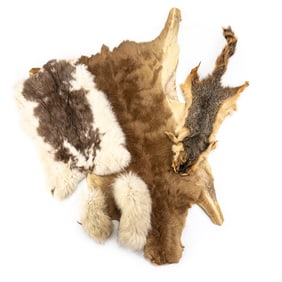 Rabbit Squirrel & More Fur Skin Pelts