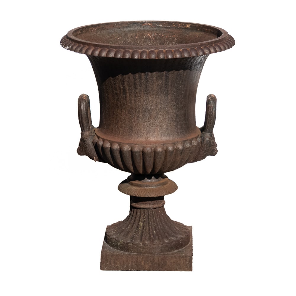 Cast Iron Ram's Head Garden Urn: A classical cast iron garden urn in the Campana form, featuring a wide everted rim with egg-and-dart molding. The body is cast with a gadrooned lower section and vertical texturing on the upper bowl.