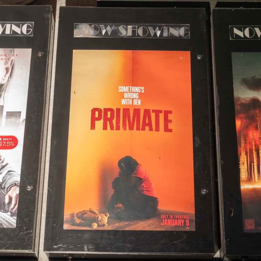 Now Showing Movie Poster Case: Back lit Now Showing one sheet movie poster case in good condition. Has lock and key. Overall measures 31" wide, 53.25" tall, 7" deep. Please use photos to judge condition and bid accordingly.