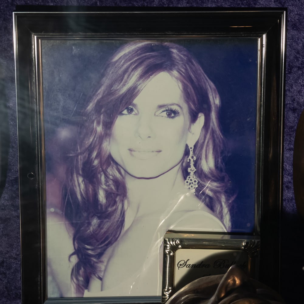 Sandra Bullock Life Mask - 2