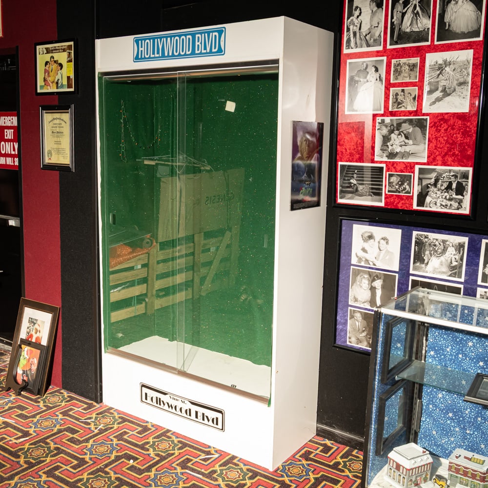 Museum Display Case - 2