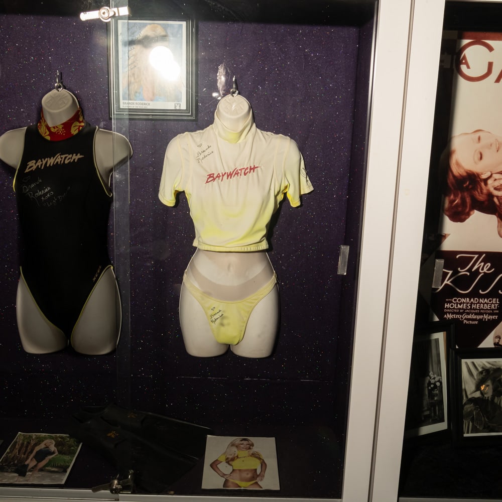 Brande Roderick Baywatch Items: Includes a Baywatch Lycra short sleeve top and bikini bottoms, both autographed by Roderick, Includes hanging display torso. A 9"x12"color photo of Roderick wearing the top and bottom, and framed 8"x1