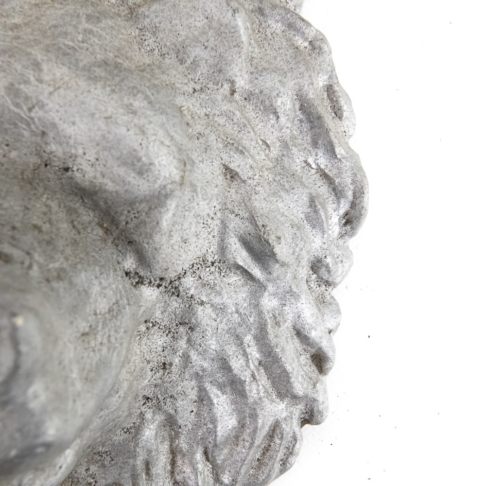 Circa 1900 Style Circus Lion Head Casting - 3