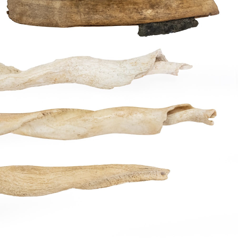 Collection of Bone & Shell Tools (6) - 10