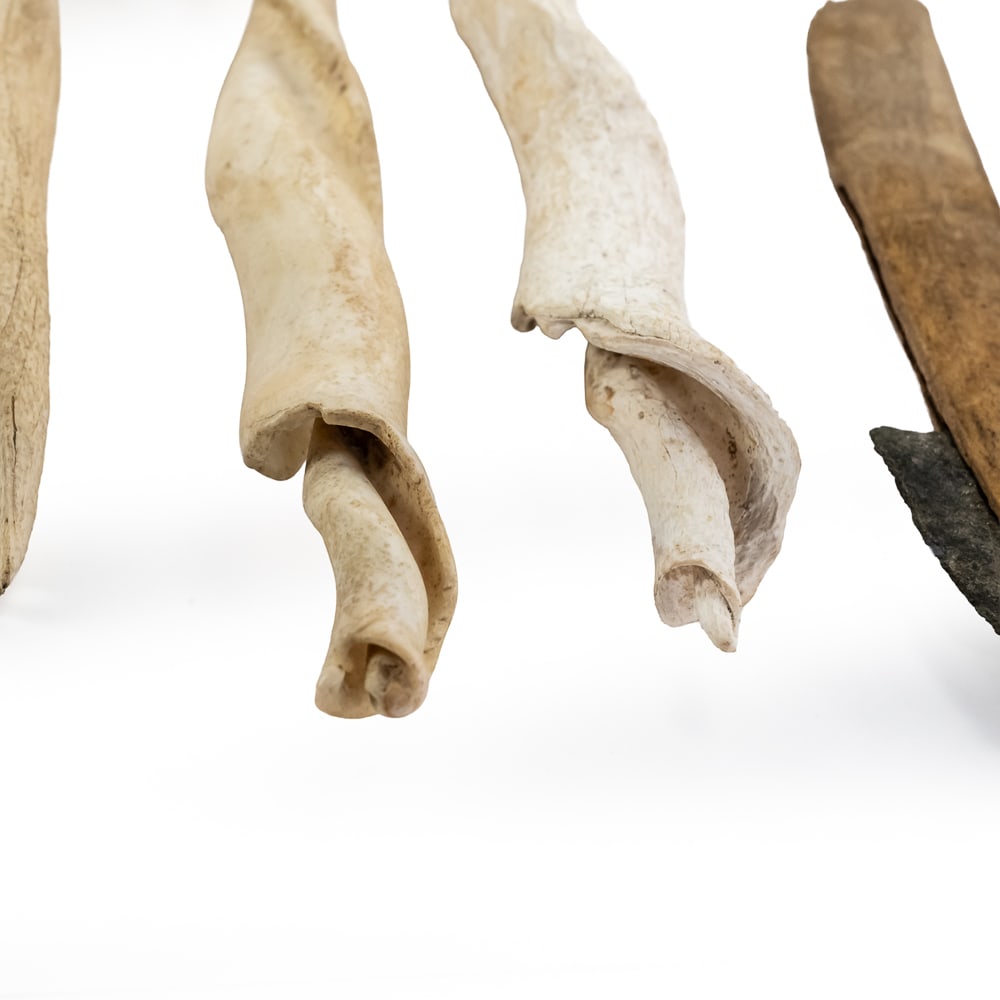 Collection of Bone & Shell Tools (6) - 11