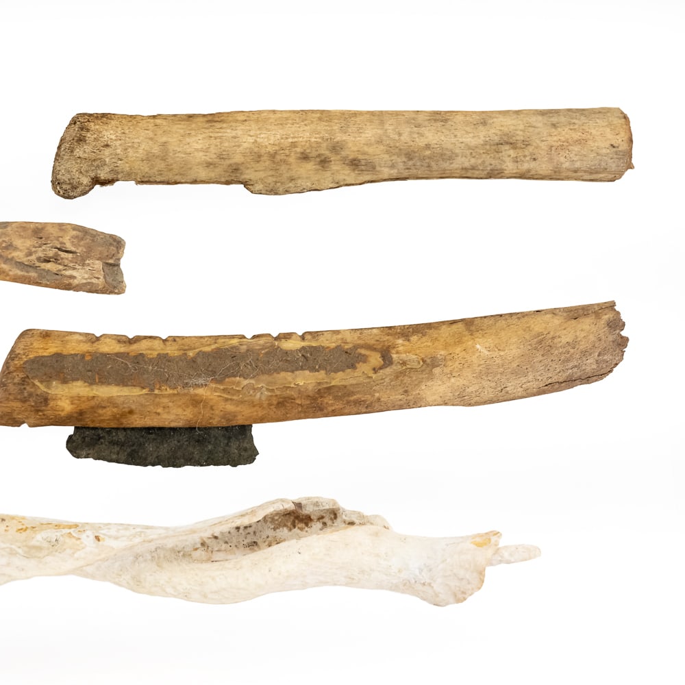 Collection of Bone & Shell Tools (6) - 3
