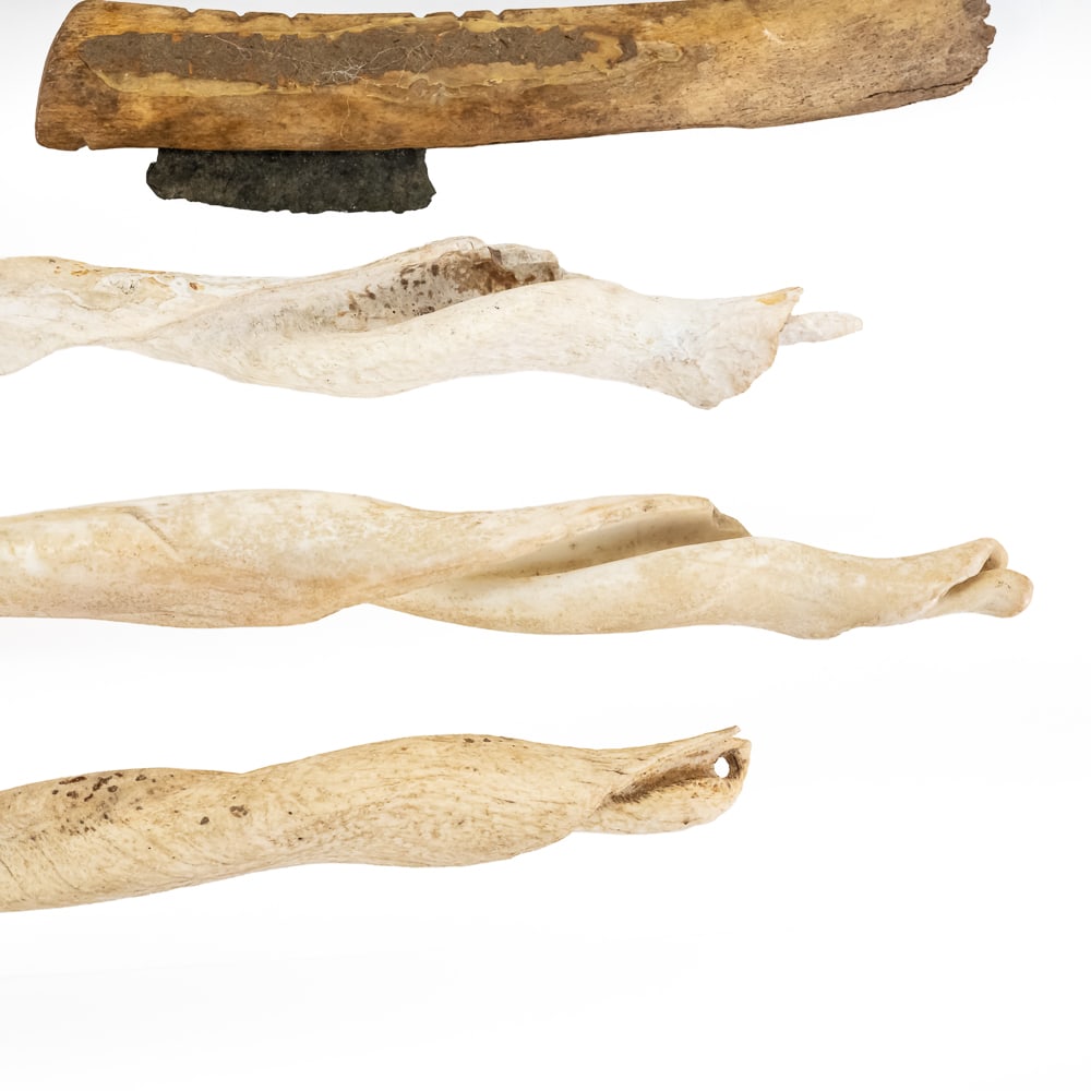 Collection of Bone & Shell Tools (6) - 5