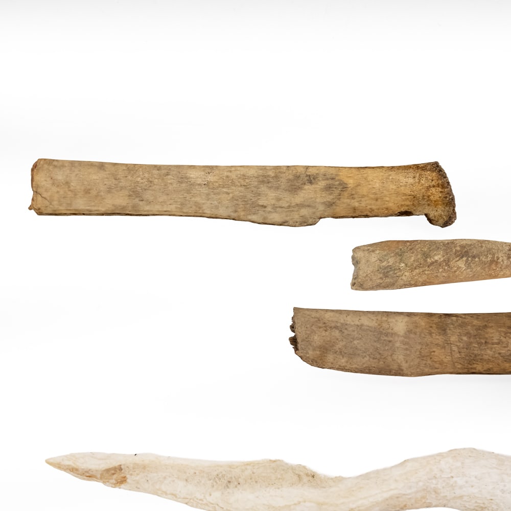 Collection of Bone & Shell Tools (6) - 7