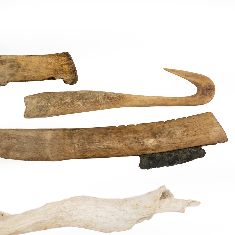 Collection of Bone & Shell Tools (6) - 8