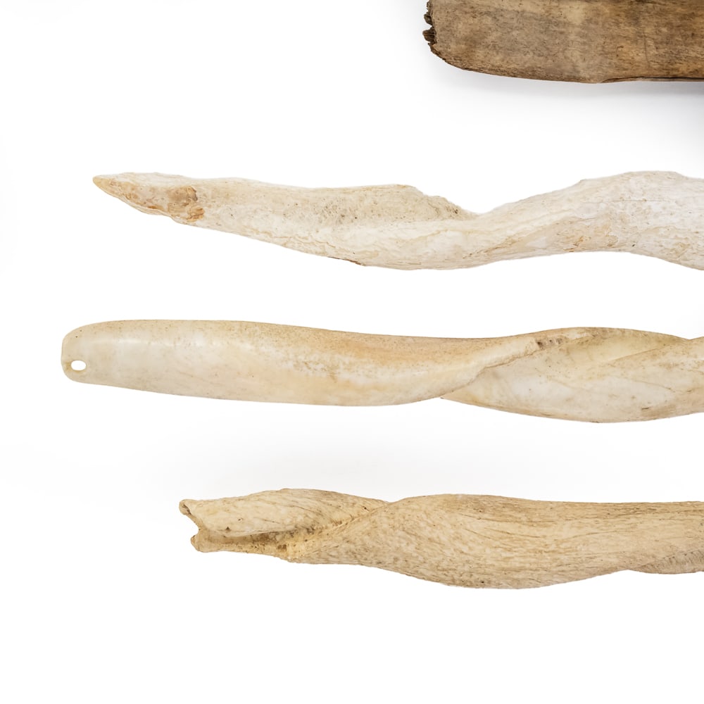 Collection of Bone & Shell Tools (6) - 9
