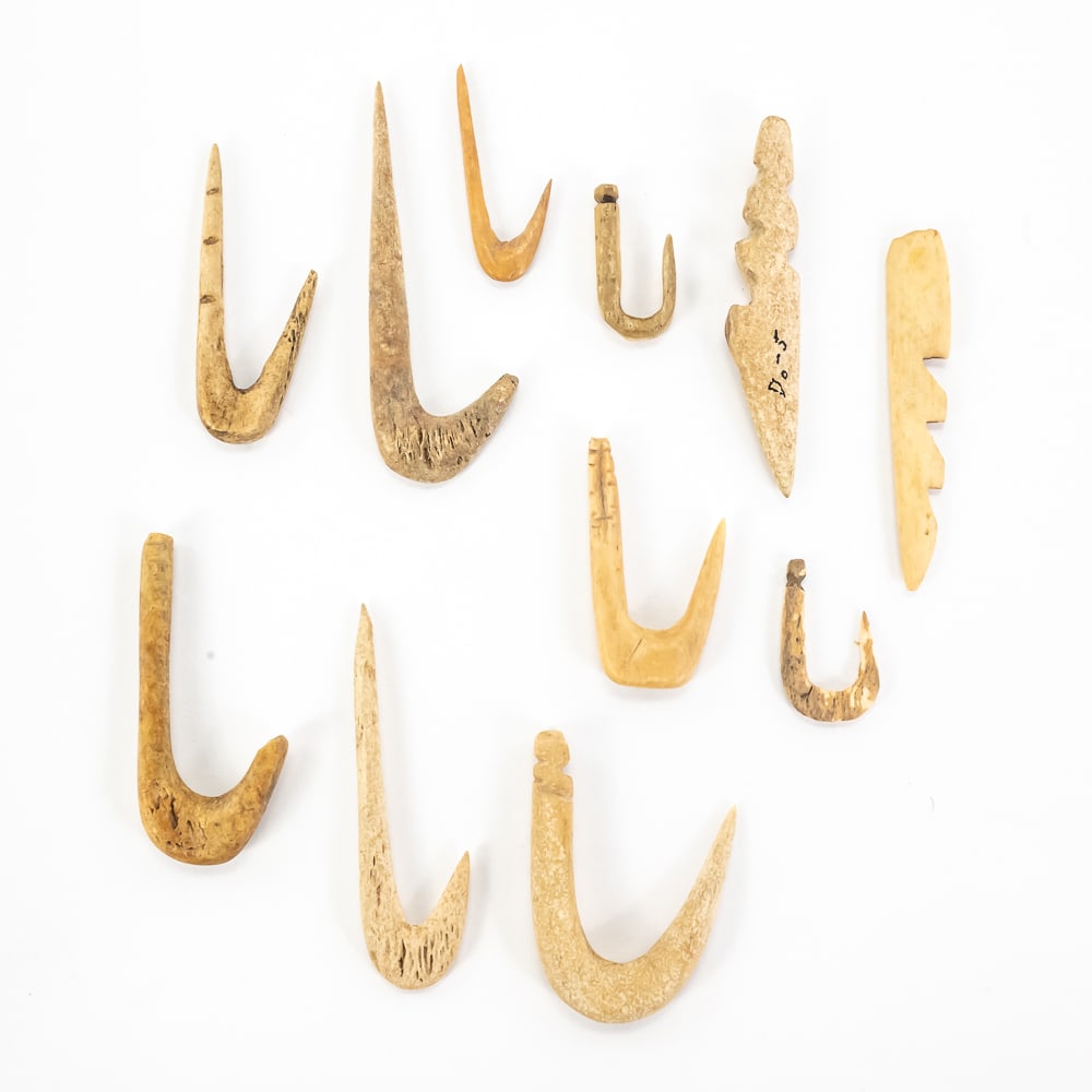 11pc Primitive Bone Fish Hook Collection - 2