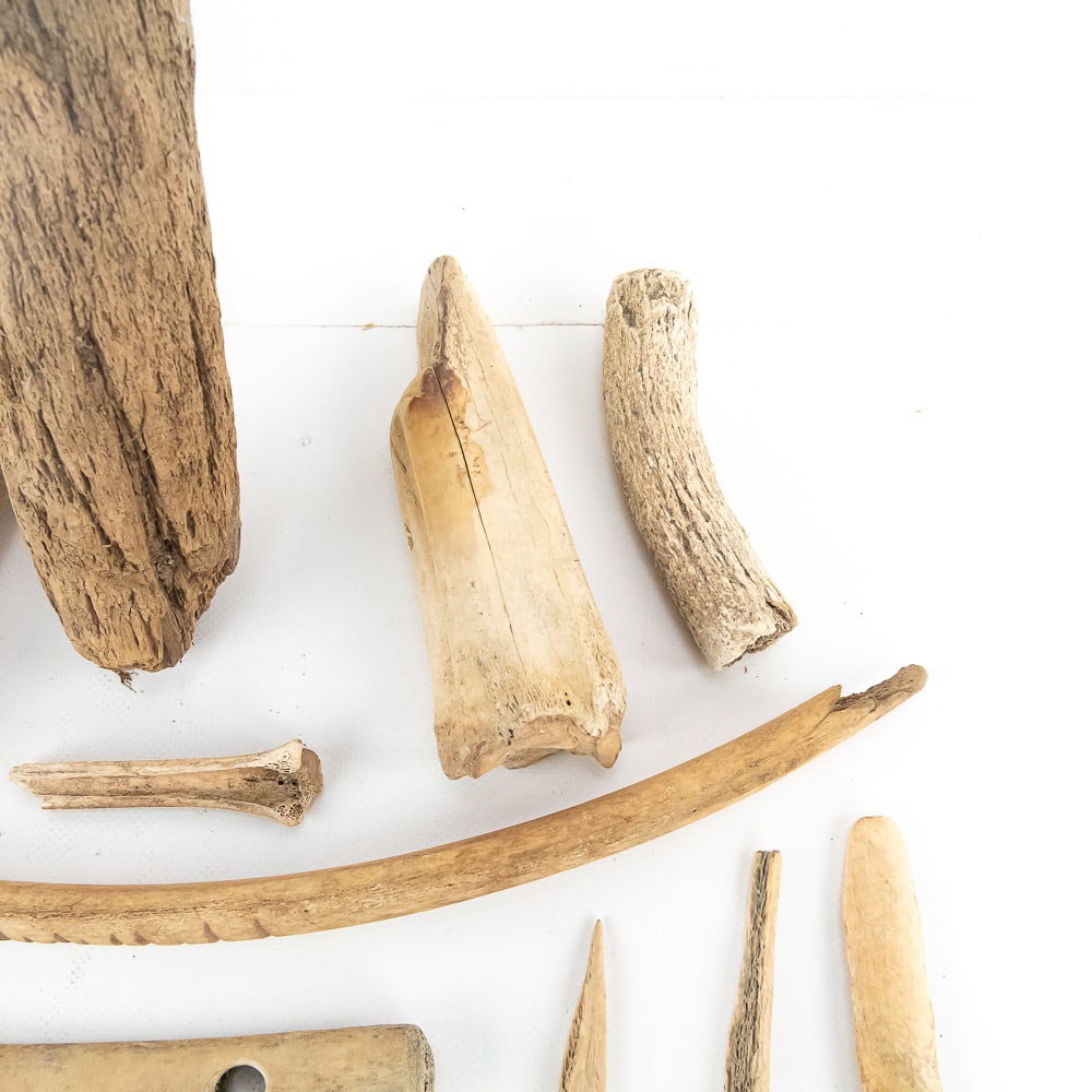 Primitive N. Am. Bone, Wood, Shell, Stone Tools - 5
