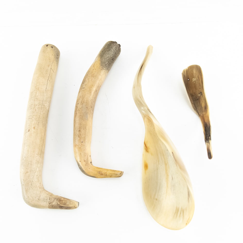 Inscribed Cheyenne Horn & Bone Tool Set (4): This fascinating collection features two hand-wrought horn spoons and two heavy-duty bone or antler implements, likely dating from the 19th or early 20th century. The spoons exhibit the beautiful tran