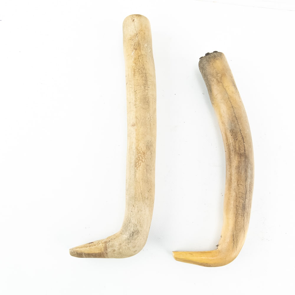 Inscribed Cheyenne Horn & Bone Tool Set (4) - 2