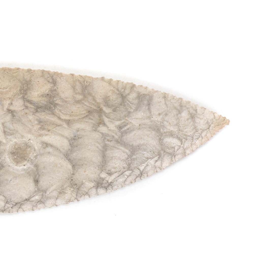 Modern Dovetail Presentation Spear Point - 6