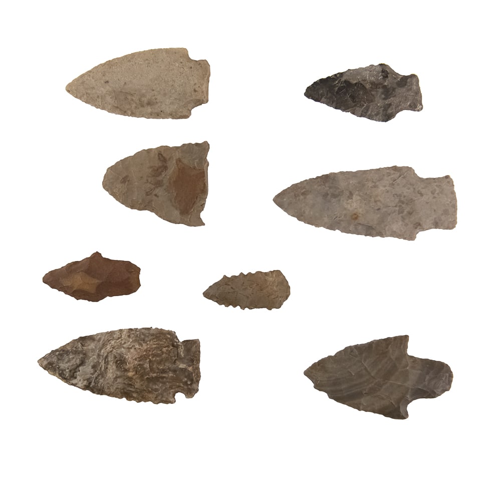 Indigenous Projectile Point Collection (34) - 4