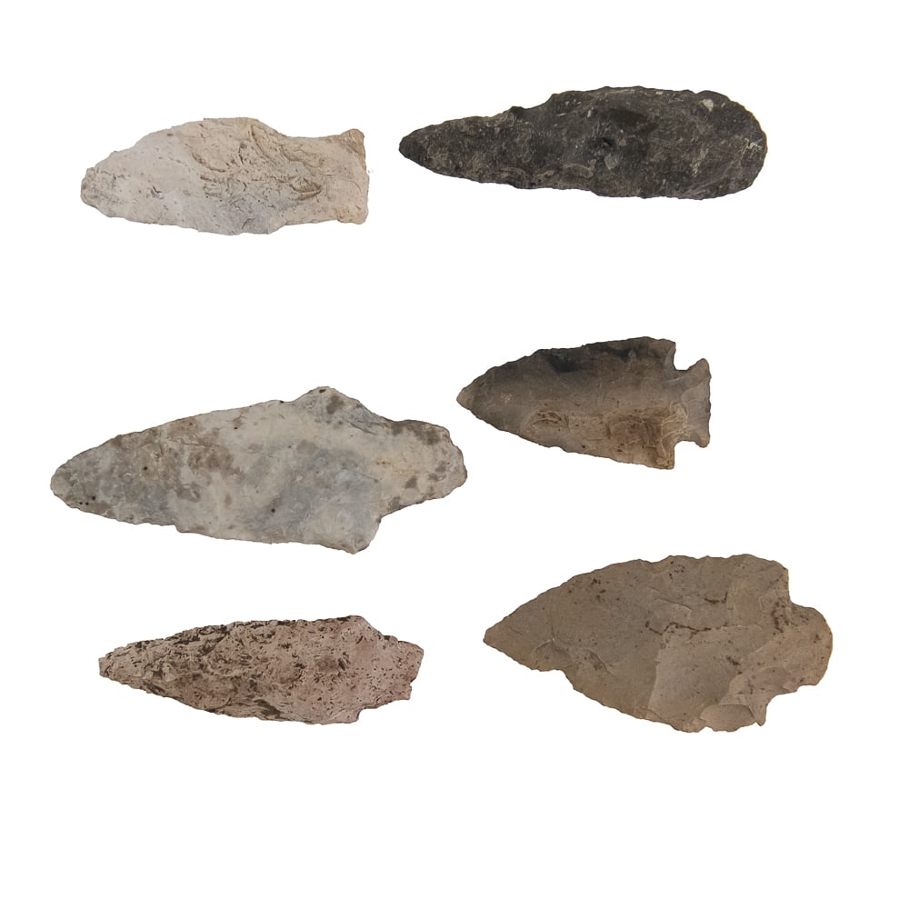 Indigenous Projectile Point Collection (34) - 5